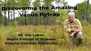 Discovering the Amazing Venus Flytrap [upl. by Enairb]