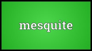 Mesquite Meaning [upl. by Kerrill678]