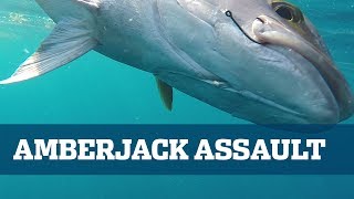 Monster Amberjack  Florida Sport Fishing TV  Tackling The Strongest Reef Fish [upl. by Brandt]