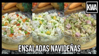 ENSALADAS NAVIDEÑAS 2 [upl. by Yorgen166]