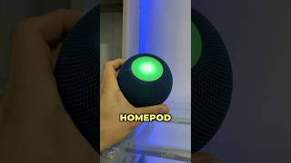 HomePod mini 🔊🎵 homepod homepodmini apple audio apple bocinasinteligentes musica appletips [upl. by Appolonia]