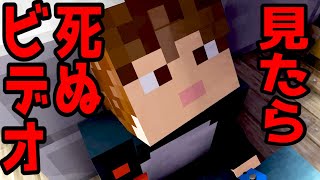 【マイクラ】意味が分かると怖い話「見たら絶対家族が死ぬビデオ」 [upl. by Airamas800]