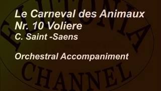 Tempo 84 bpm Orchestral Accompaniment for Flute Solo Le carneval des animaux Voliere  Play along [upl. by Fabiano83]