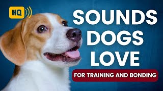 Sounds Dogs Love to Hear the Most for Training and Bonding [upl. by Nnairret]