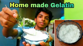 Home made Gelatin  how to make gelatin powder at home malayalam [upl. by Ahsirkal316]