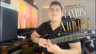 Vamos Para Arriba  Junior H x Gabito Ballesteros Bass Cover  Bajoloche Style [upl. by Neyud]