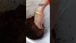 Simple amp Easy Soil Mix Recipe for Plants🌿 YouTubeshorts soilmixture Soil shortsfeed gardening [upl. by Stanislaw436]