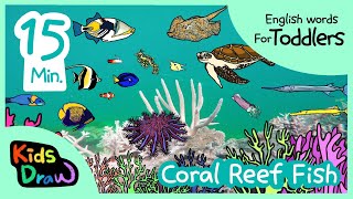 Coral Reef Fish  20 minutes Compilation  English Words for Toddlers  Kids Draw [upl. by Cherrita]