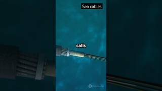 How Sea Internet Cables Keep Us Connectedinternet facts dailyfacts dailyfacts internetday [upl. by Faus]