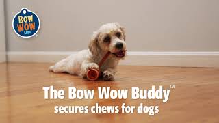 The Bow Wow Buddy™ Safety Device Helps Protect Dogs from Choking [upl. by Alleon257]