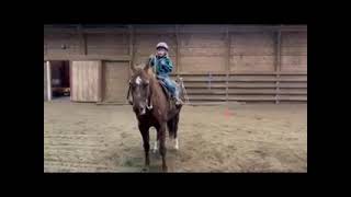 Jordyn Jones and Twisted Whiskers horsemanship [upl. by Ausoj]