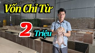 Khởi Nghiệp Vốn Từ 2 Triệu  Thành Ông Chủ Lớn Sau Hơn 10 Năm Chăn Nuôi Khởi Nghiệp Làm Giàu [upl. by Ahsiniuq491]