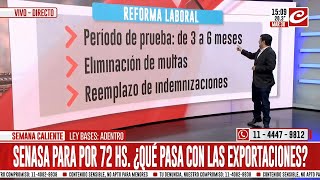 ¿Qué cambios trae la Ley Bases y el Paquete Fiscal [upl. by Myrvyn433]