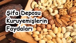 Şifa Deposu Kuruyemişlerin Faydaları [upl. by Trinia]