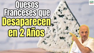 😱 QUESOS FRANCESES QUE DESAPARECERAN EN 2 AÑOS ROQUEFORT CAMEMBERT😱 [upl. by Idnic]