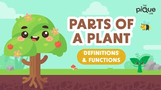 Parts Of A Plant Definitions amp Functions  Primary School Science Animation [upl. by Kenji]