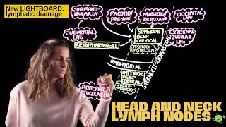 Lymph Node Groups and Drainage of the Head and Neck [upl. by Derfla]