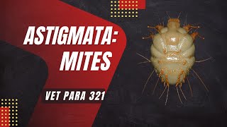 VET PARA 1  Astigmatid Mites Mange Mites  Chapter 84 [upl. by Nat]