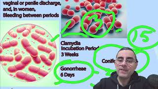 Understanding Chlamydia and Gonorrhea Key Differences and Similarities [upl. by Josephson]