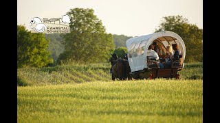 Wanderfahren  unterwegs mit Pferd und Wagen [upl. by Abehsile]