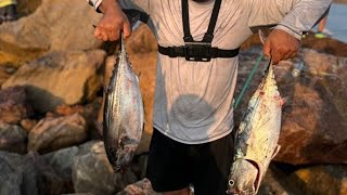 pesca de barriletes y jureles toro en playa linda ixtapa zihuatanejo [upl. by Tybie]