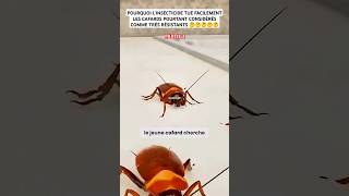 insects insect insecticide resistance resistant strong animals animaux animation education [upl. by Junette]