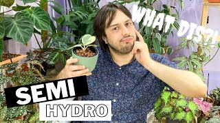 Soil Free Houseplants  Basics of Growing Plants in Semi Hydroponics [upl. by Akcirahs]