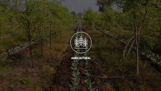 Basics of Agroforestry [upl. by Hock294]