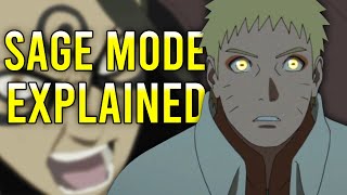 Sage Mode EXPLAINED [upl. by Assilana790]