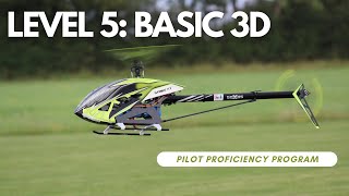 5 Basic 3D RC Helicopter Pilot Proficiency Program [upl. by Pergrim985]