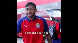 Por indisciplina Chivas separa del plantel a Alexis Vega Cristian Calderon y Raúl Martínez Shorts [upl. by Mintz275]