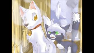 Bolt x Mittens video [upl. by Warfore]