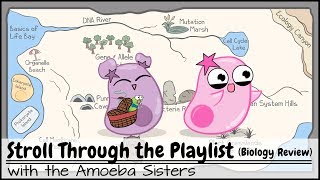 Stroll Through the Playlist a Biology Review [upl. by Tracy]