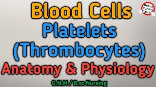 Platelets Thrombocytes Anatomy And Physiology Gnm 1st year  Blood Cells  BioScience Gnm 1st year [upl. by Anavahs]