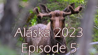 Alaska 2023 Episode 5 [upl. by Bart]