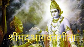 श्रीमद्भगवद्गीता के बारे मे कुछ रोचक जानकारीgeetagyan [upl. by Aisayn887]