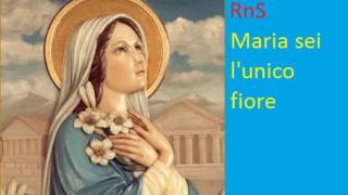 RnS Maria sei l unico fiore [upl. by Swigart772]