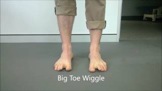 Foot Intrinsics and Coordination for Runners [upl. by Ycinuq660]