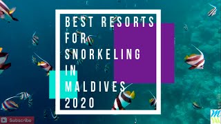 Best Resorts for Snorkeling in Maldives [upl. by Torr]