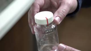 How to Test Well Water for Bacteria [upl. by Rourke]