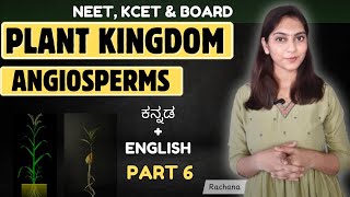 Angiosperms in Kannada Plant Kingdom Class 11 NEET BotanyBloom5 [upl. by Haronid]