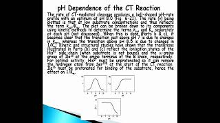 Chymotrypsin Reaction Mechanism  Acylenzyme intermediate  pH dependence of the CT reaction [upl. by Kryska592]