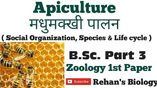 Apiculture Bee Keeping मधुमक्खी पालन Apis indica Rehans Biology Zoology 1st BSc Part 3 [upl. by Baugh]