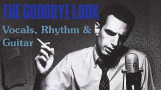 Donald Fagen  The Goodbye Look 51 Center Channel Vocals Rhythm Section and Guitar [upl. by Anitrebla108]