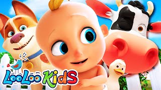 Top SingAlong Songs  S3EP70 Kindergarten Fun Highlights Compilation  LooLoo Kids Songs for Kids [upl. by Acsecnarf]