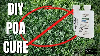 KILL POA on a Budget  The Lowdown on the Best Method [upl. by Girish]