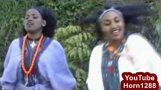 Ethiopian Traditional Music  ዘነበች ታዴ  የአለም የሲሳይ ቤት [upl. by Eimrej73]