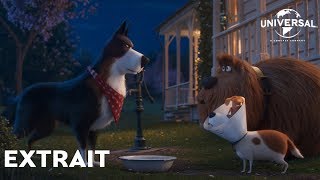 Comme Des Bêtes 2  Bande Annonce Officielle  Rooster [upl. by Bertram956]