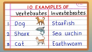 Name  Examples of VERTEBRATES AND INVERTEBRATES  5  10 List of VERTEBRATES AND INVERTEBRATES [upl. by Sauncho]