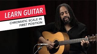 Beginner Guitar Lessons How to Play the Chromatic Scale in First Position  Guitar  Lesson [upl. by Atnauqahs]